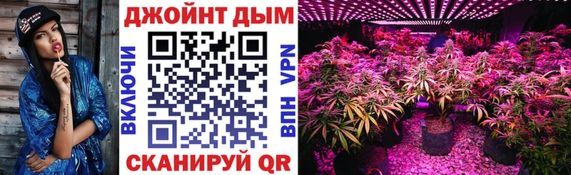 Бошки марихуана конопля  Мышкин 